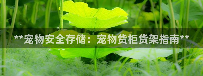 杏运平台招商
