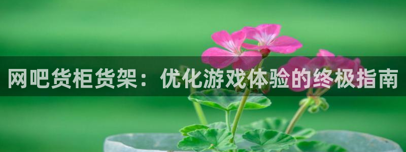 杏运体育登录