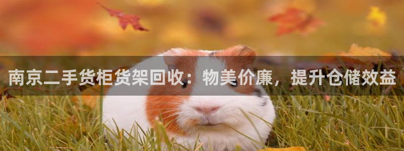 杏运汽车