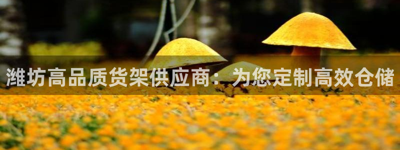杏运体育app下载安装手机版