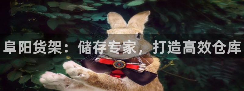 杏运体育娱乐
