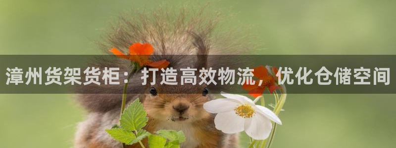 杏运体育
