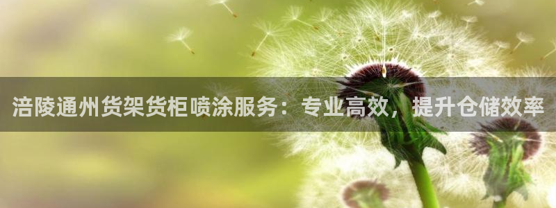 杏运汽车招商