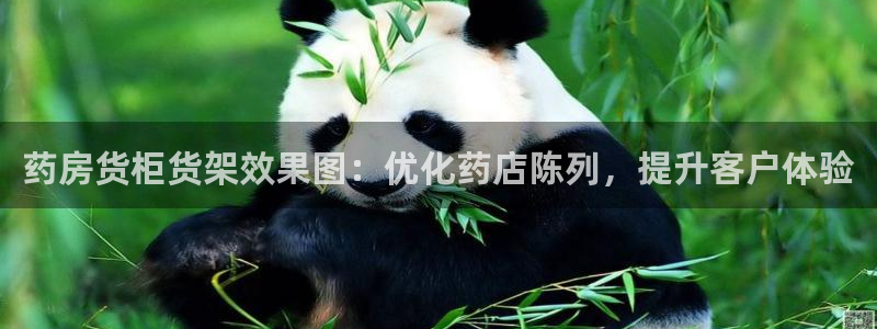 杏运平台招商