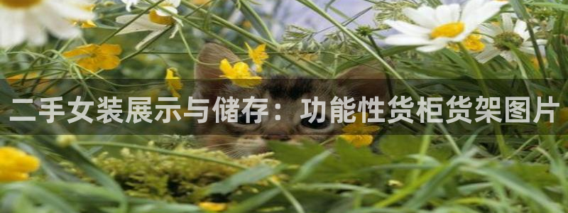 杏运平台注册