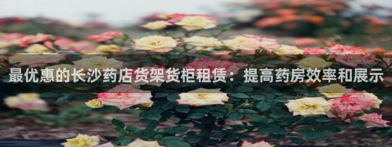 杏运体育网