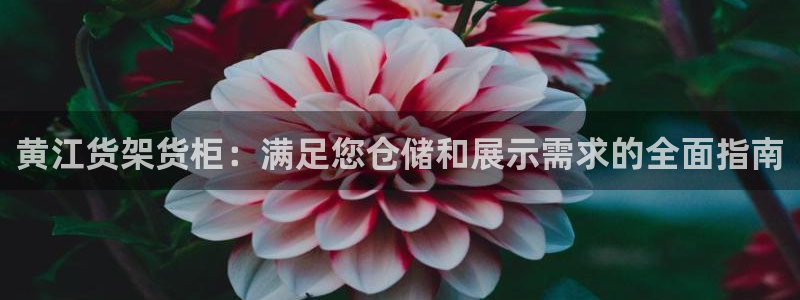 杏运平台代理