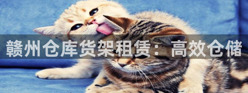 杏运体育网