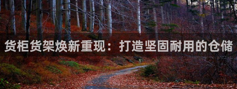 杏运汽车招商