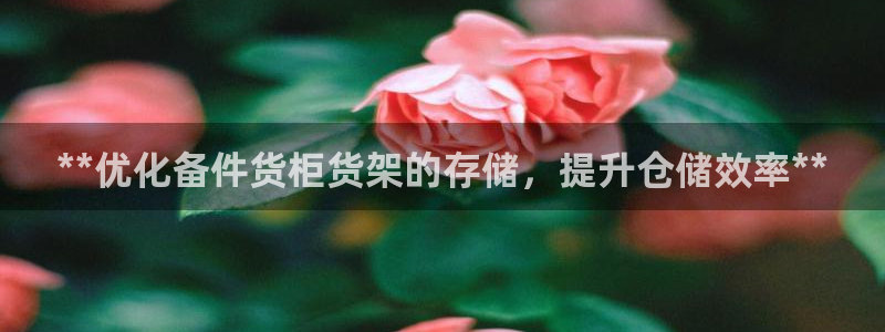 杏运新能源