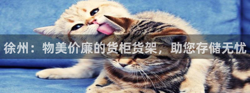杏运平台代理