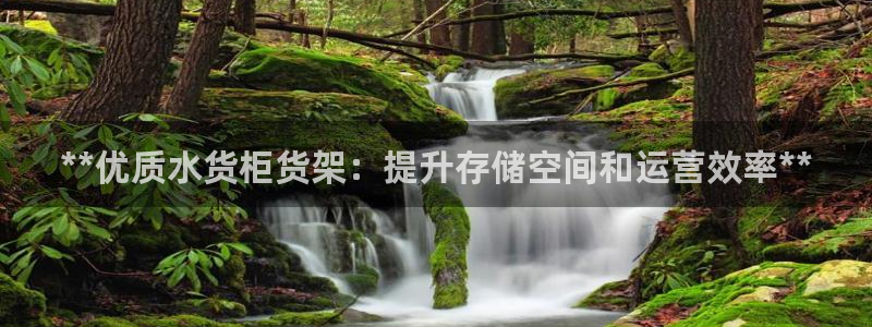 杏运注册登录