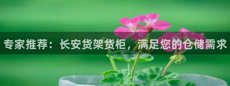 杏运体育怎么样