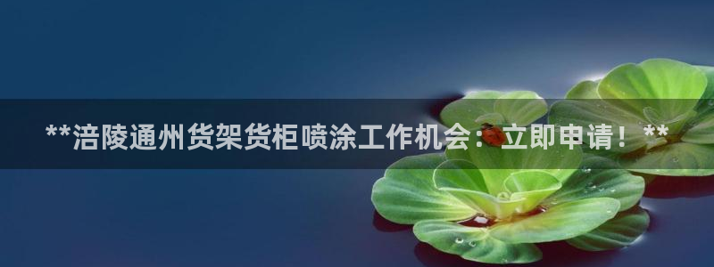 杏运汽车招商