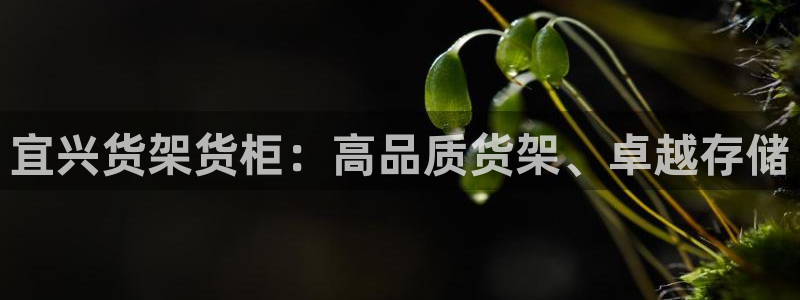 杏运平台招商