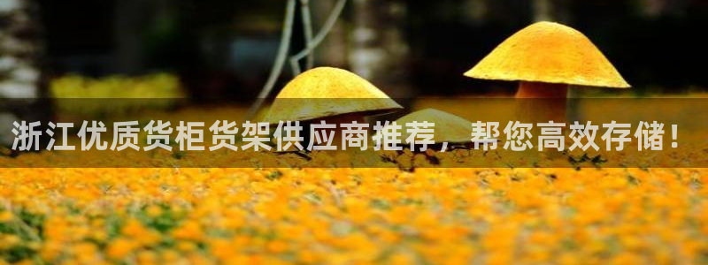 杏运平台官方网站