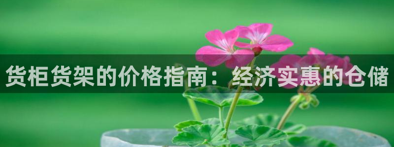 杏运体育