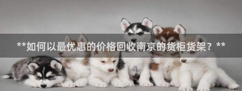 杏运注册登录