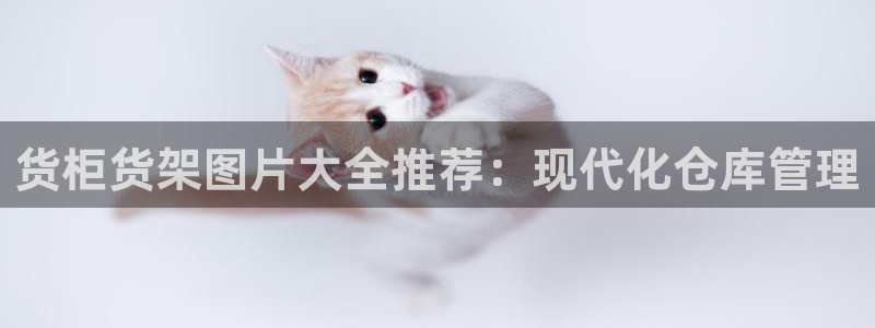 杏运体育官方网址