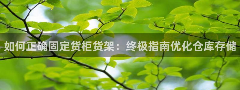 杏运汽车