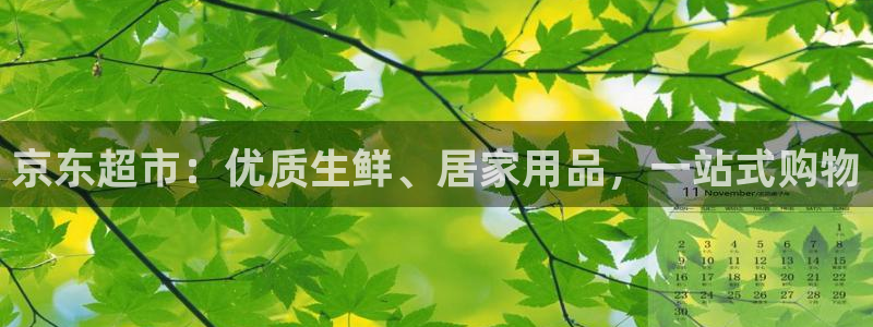 杏运汽车