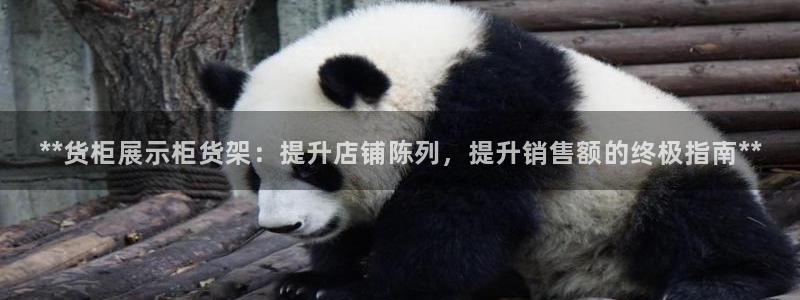 杏运平台代理