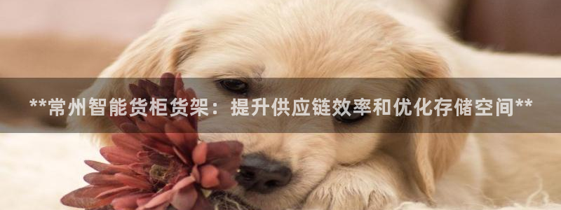 杏运平台注册登录