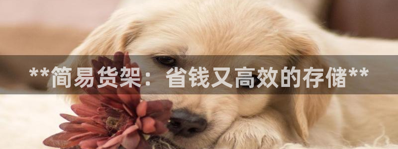 杏运注册登录