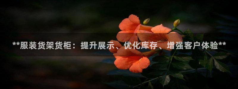 杏运体育app下载安装手机版