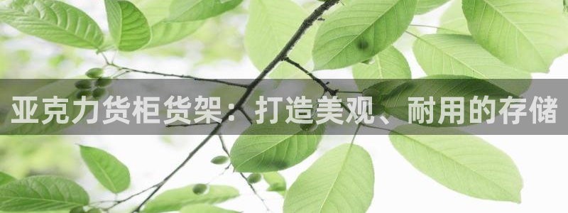 杏运体育娱乐