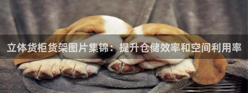 杏运新能源