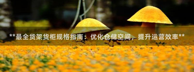 杏运汽车招商