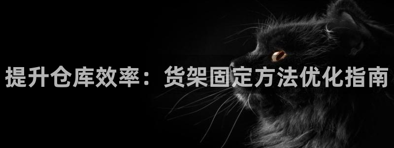 杏运相伴