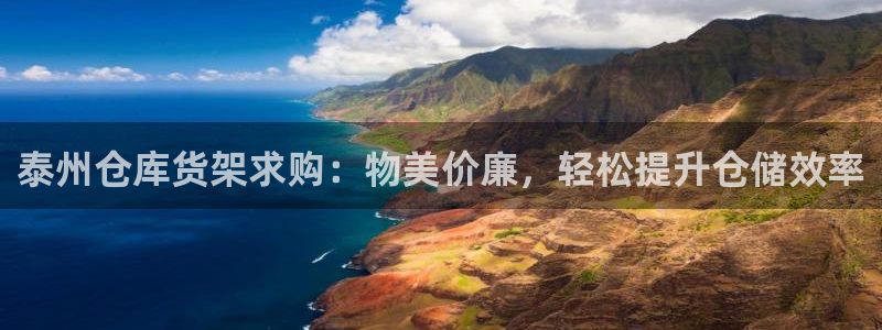 杏运汽车招商