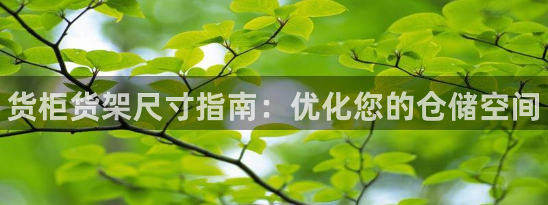 杏运平台注册登录