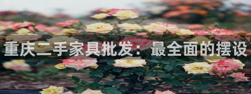杏运体育
