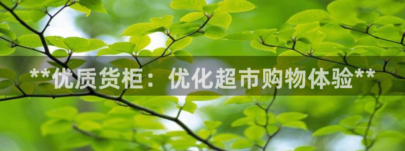 杏运体育官方网址登录