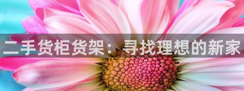 杏运注册登录