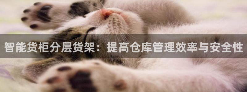 杏运新能源
