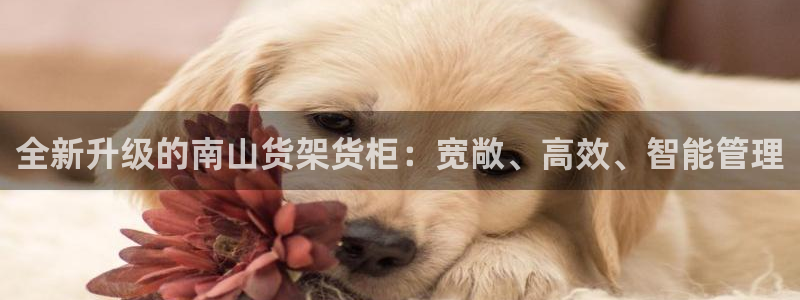 杏运注册