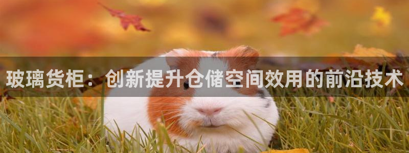 杏运体育官方网址登录