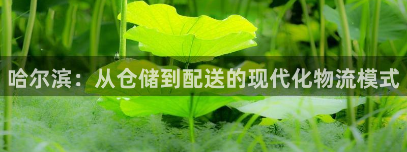 杏运平台代理