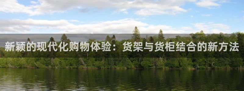杏运汽车：新颖的现代化购物体验：货架与货