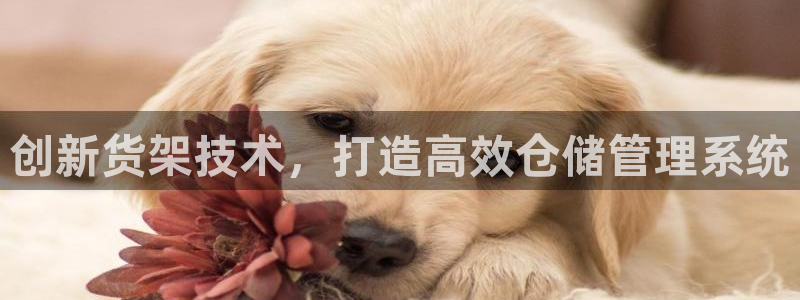 杏运体育官方网址
