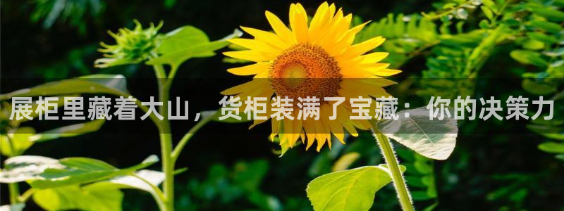 杏运注册平台