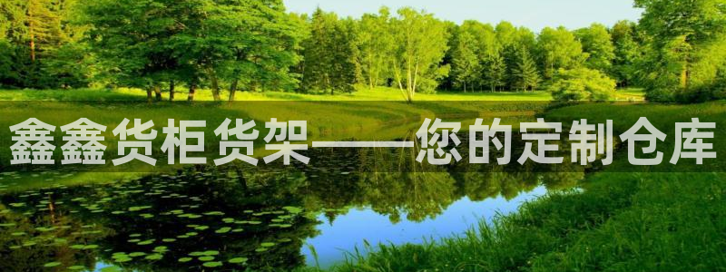 杏运平台注册登录：鑫鑫货柜货架——您的定