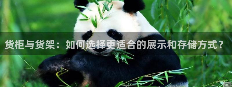杏运体育娱乐