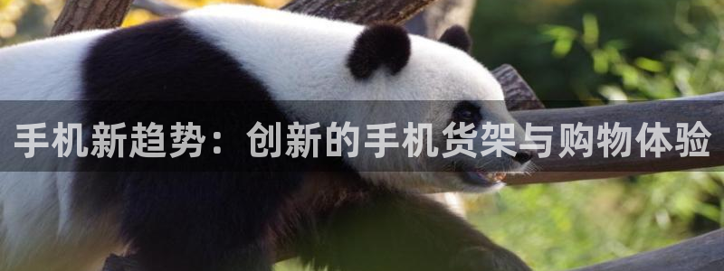 杏运汽车招商