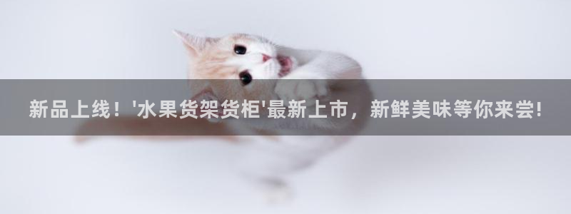 杏运注册平台