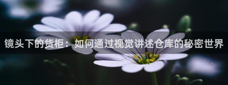 杏运平台官网